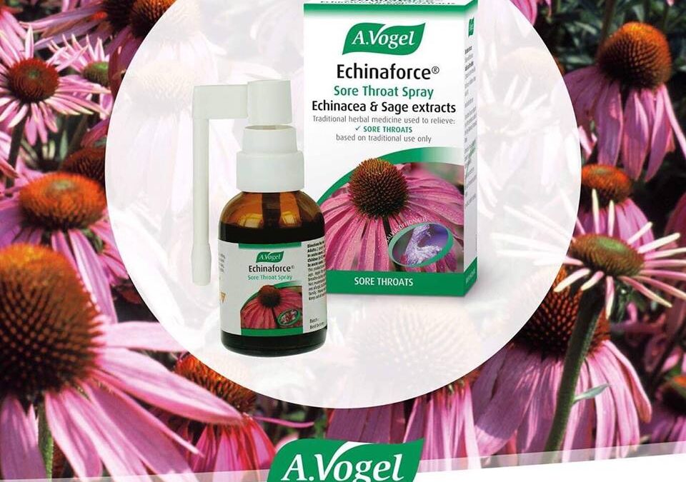 Sore throat spray echinacea right hand Food for Living Health Food Store